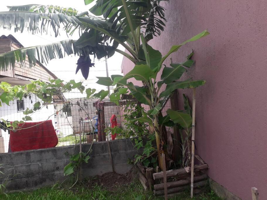 Casa Proximo A Praias, Trilhas E Cachoeiras. Garopaba Exterior foto